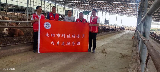 凯发国际河南内乡：科技志愿服务进企业助力乡村振兴“不打烊”(图2)