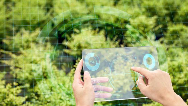 碳达峰背景下畜牧养殖业发展前景分析凯发旗舰厅