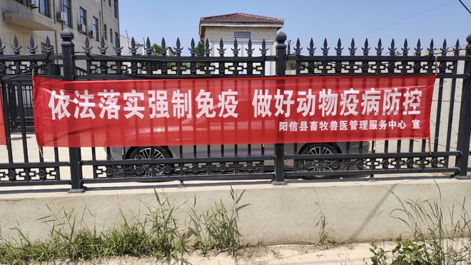 洋湖乡：持续推进畜牧产业高质量发展凯发国际(图2)