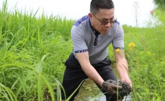 1980年农村娃考上北大全村凑路费38年后每户获赠一栋别墅(图10)