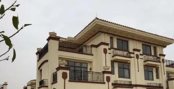 1980年农村娃考上北大全村凑路费38年后每户获赠一栋别墅(图13)