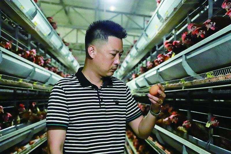 凯发旗舰厅在鸡蛋里找新质生产力他给出了答案(图1)