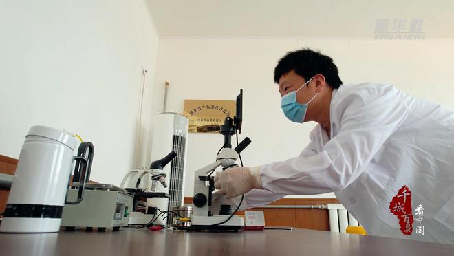 千城百县看中国丨河北文ag凯发安：推动养殖标准化助力畜牧产业提质增效(图3)