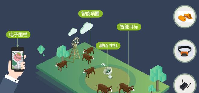 科技与金融的融合：智慧畜牧监管平台的一站式解决方案(图6)