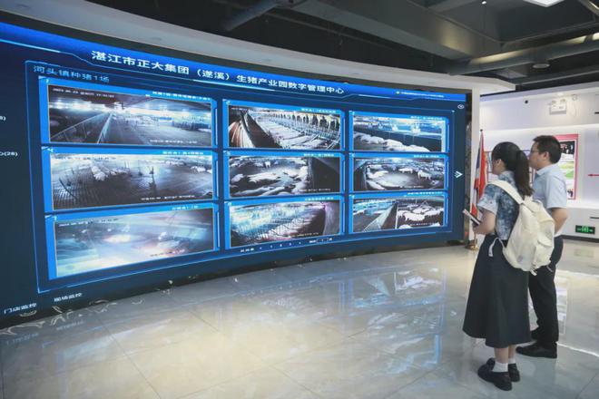 AI猪语识别丨养3万头猪只要5个人(图2)