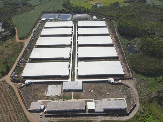 AI猪语识别丨养3万头猪只要5个人(图6)