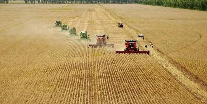 金融服务乡村振兴·粮食篇金融“活水”涌乡村精准浇灌振兴之花