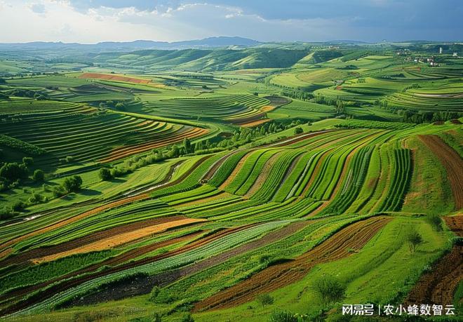 昆明市2023年农业产业发展分析简报