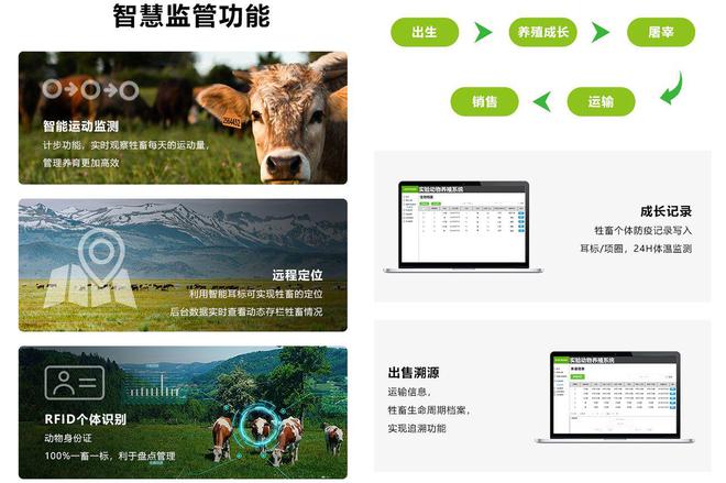 智能羊场的科技助力：羊耳标在现代畜牧业的集成应用(图5)