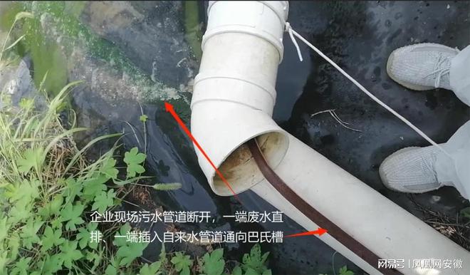 养殖废水直排入外环境安徽繁昌县汉世伟畜牧养殖有限公司被查处(图2)