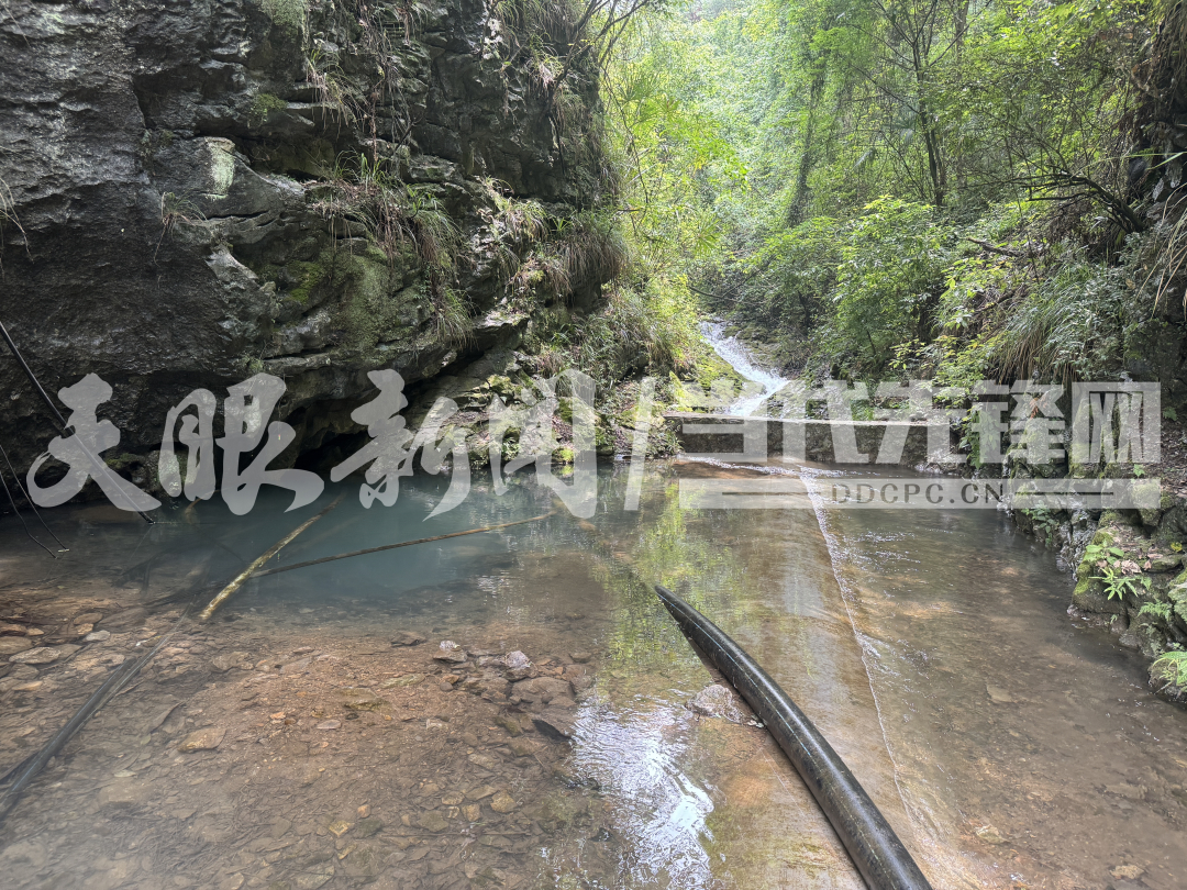 【天眼问政】毕节黔西市挖陇村饮用水源被养猪场污染？