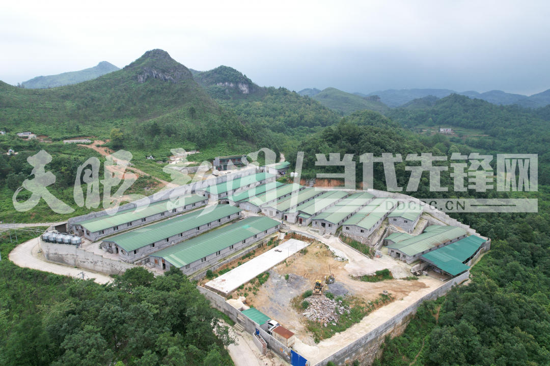 【天眼问政】毕节黔西市挖陇村饮用水源被养猪场污染？(图2)