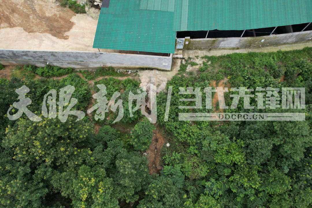【天眼问政】毕节黔西市挖陇村饮用水源被养猪场污染？(图3)
