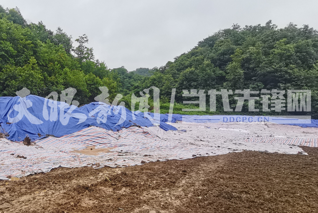 【天眼问政】毕节黔西市挖陇村饮用水源被养猪场污染？(图4)