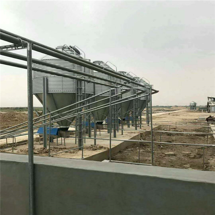 养猪场自动化喂养设备配套--青州市百牧机械设备有限公司