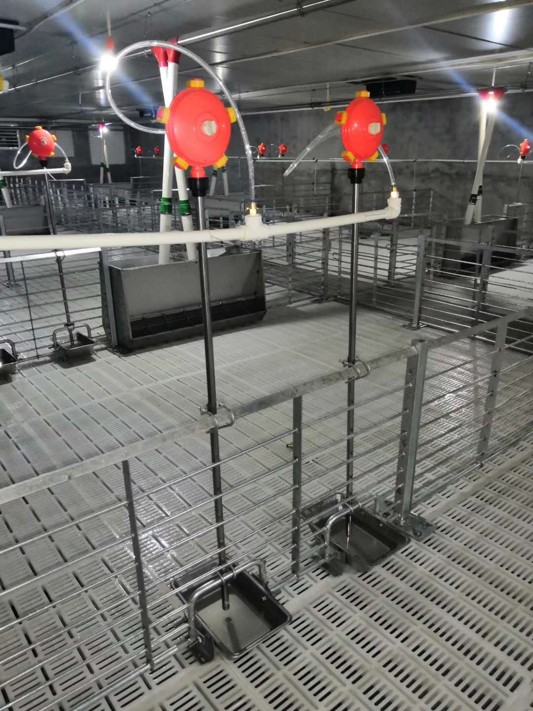 养猪场自动化喂养设备配套--青州市百牧机械设备有限公司(图2)