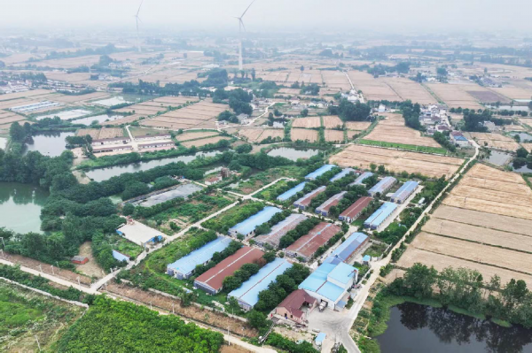 养猪还有高科技？瞧瞧有何不一样