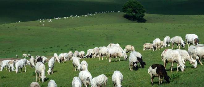 ag凯发发展前景好就业满意度又比较高这样的神仙专业还不赶紧关注(图2)