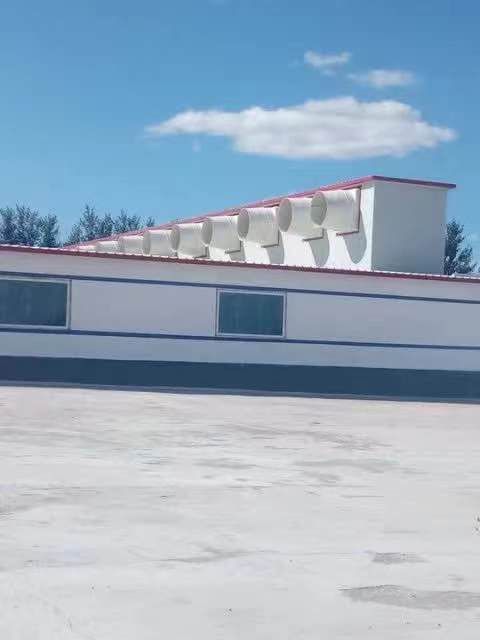 圣方畜牧：自动化养殖设备带动畜牧繁荣