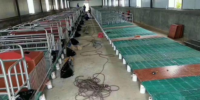 圣方畜牧：自动化养殖设备带动畜牧繁荣(图2)