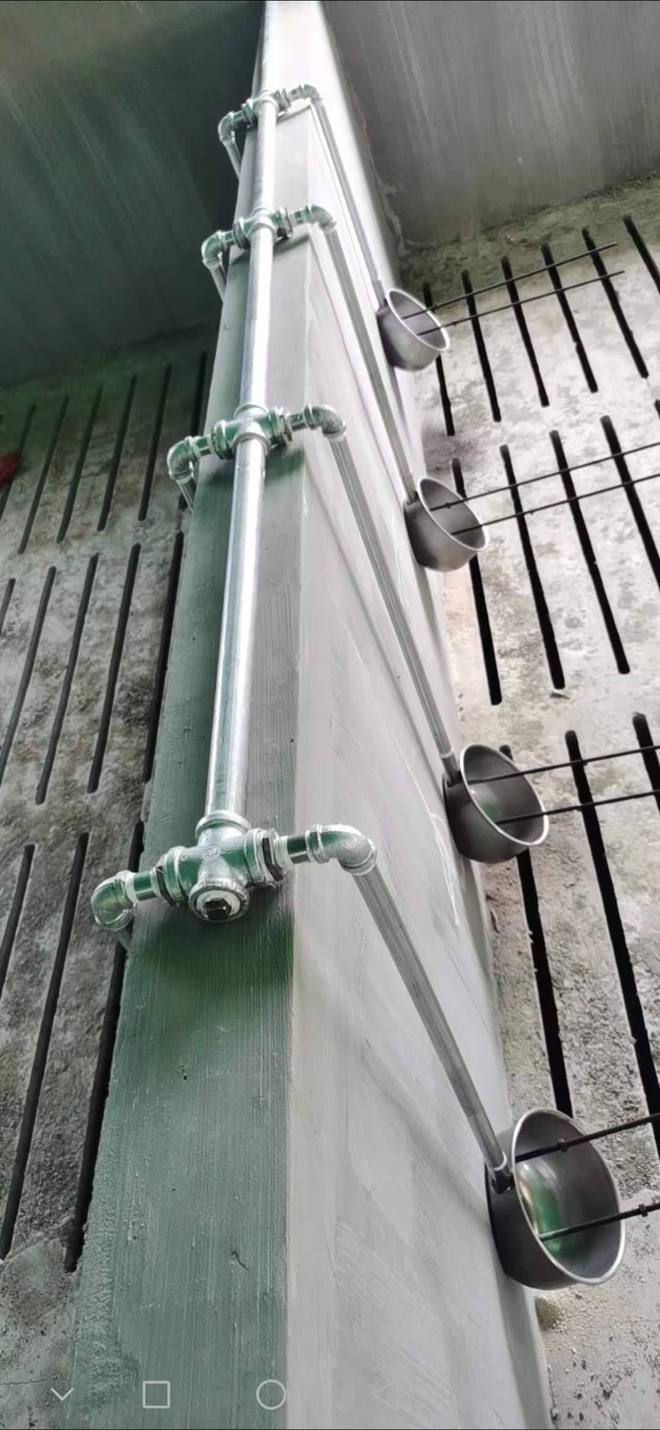 圣方畜牧：自动化养殖设备带动畜牧繁荣(图3)