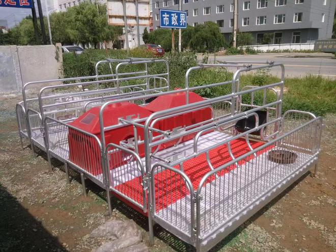 圣方畜牧：自动化养殖设备带动畜牧繁荣(图4)