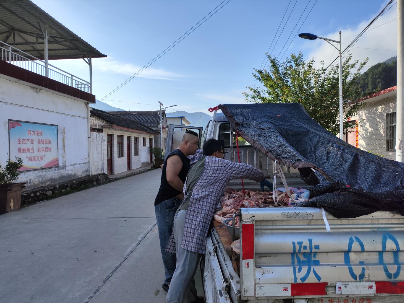 两当县张家乡：80后“猪倌”靠养猪走上致富路(图2)