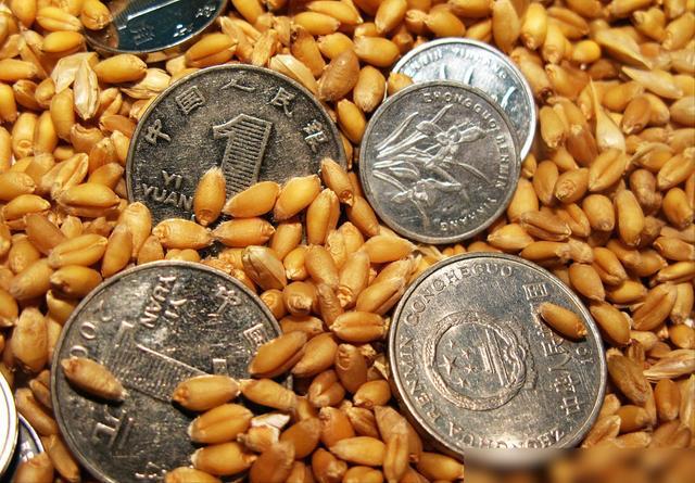 猪价迎来7连涨蛋价、羊价、鱼价何时涨？粮价两极分化(图2)