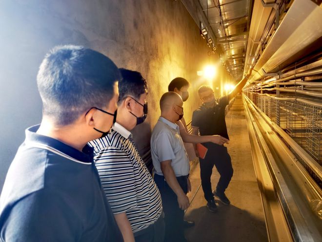 乡村振兴省畜牧业协会组织行业专家赴白河县冷水镇指导林下养鸡产业发展(图1)