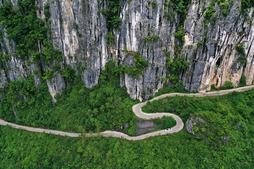 凯发国际助力产业发展他们为生猪养殖业安装电引擎
