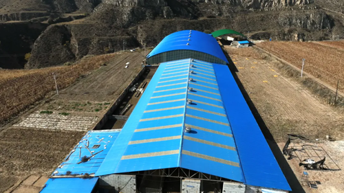 平鲁区下面高乡：特色养殖为乡村振兴添活力(图2)