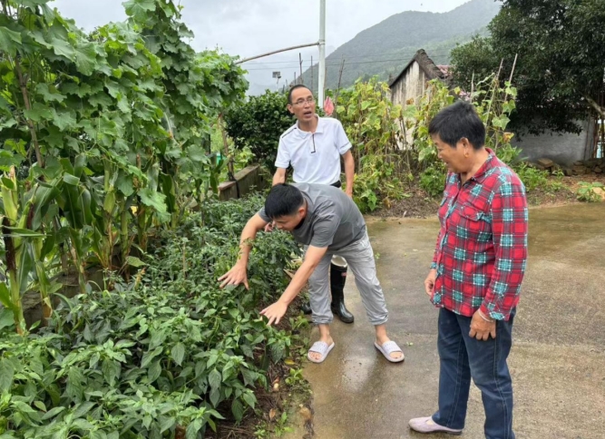 石台县矶滩乡：农技人ag凯发员“把脉开方”助力恢复农业生产(图2)