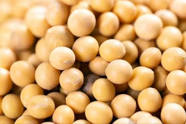 我国宁可从美国买“转基因大豆”也不从俄罗斯进口原因是啥？