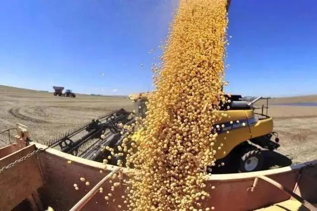 我国宁可从美国买“转基因大豆”也不从俄罗斯进口原因是啥？(图5)