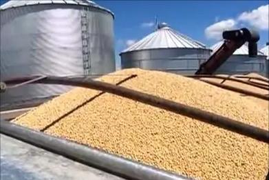 我国宁可从美国买“转基因大豆”也不从俄罗斯进口原因是啥？(图10)