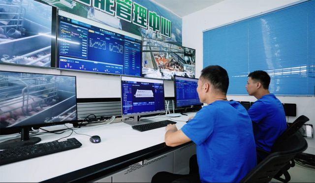 机器人养猪到底好在哪？家庭农场也能两个人养1000头猪