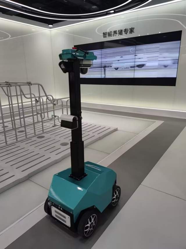 机器人养猪到底好在哪？家庭农场也能两个人养1000头猪(图2)