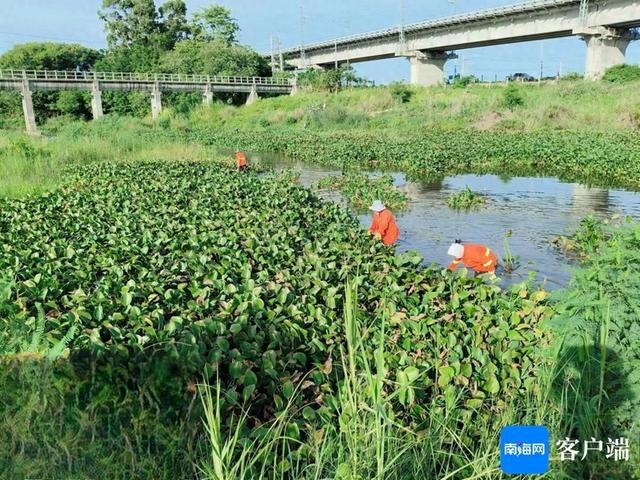 凯发旗舰厅东方开展河湖库“四乱”问题整治持续提升河湖库水域环境