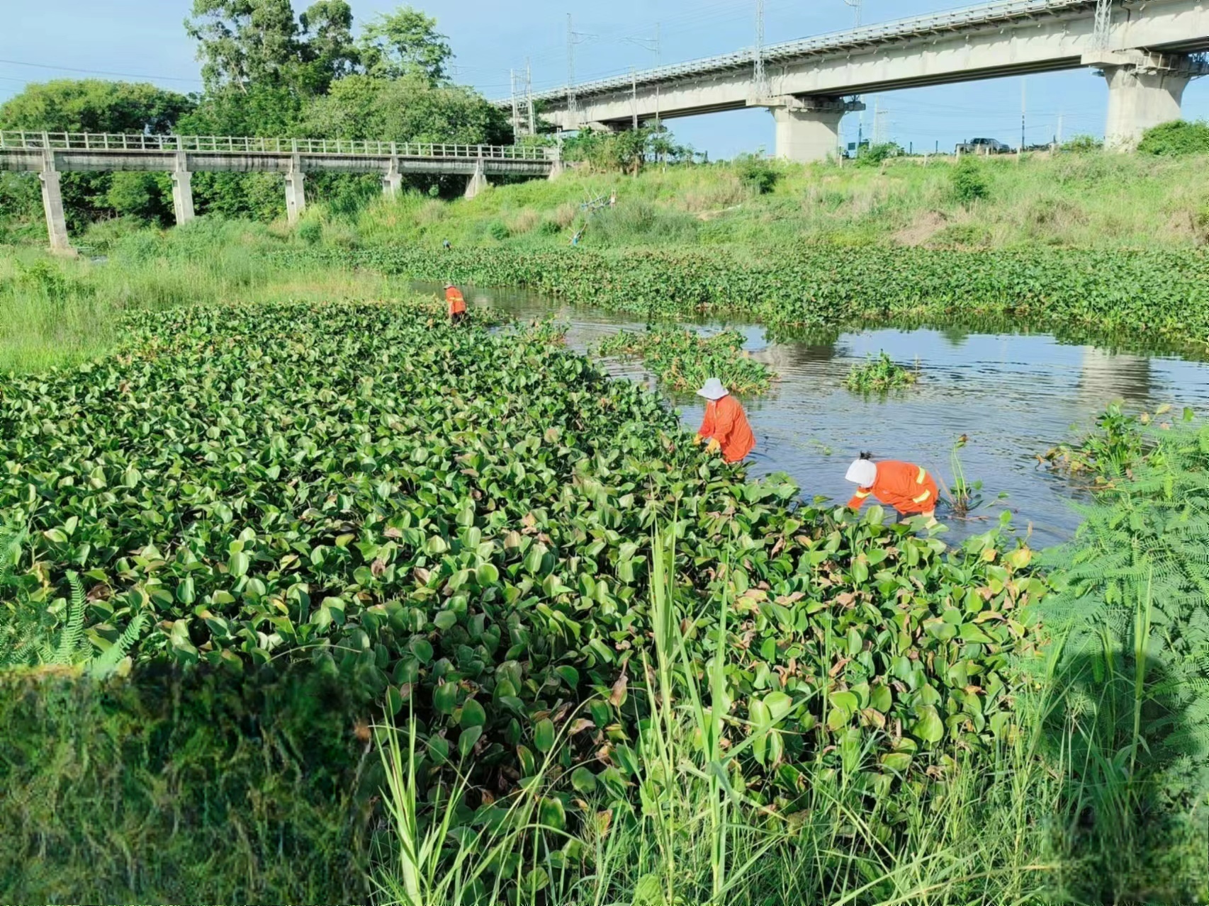 凯发旗舰厅海南东方大力开展河湖库“四乱”问题专项整治工作(图2)