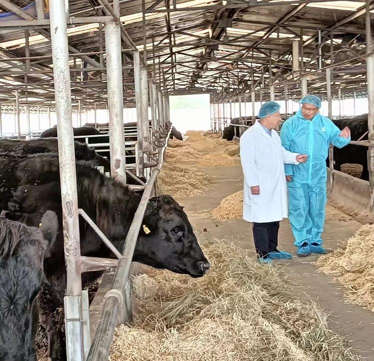 山东省唯一！青岛人郑学龙荣获2024年中国兽医协会杰出兽医奖(图2)