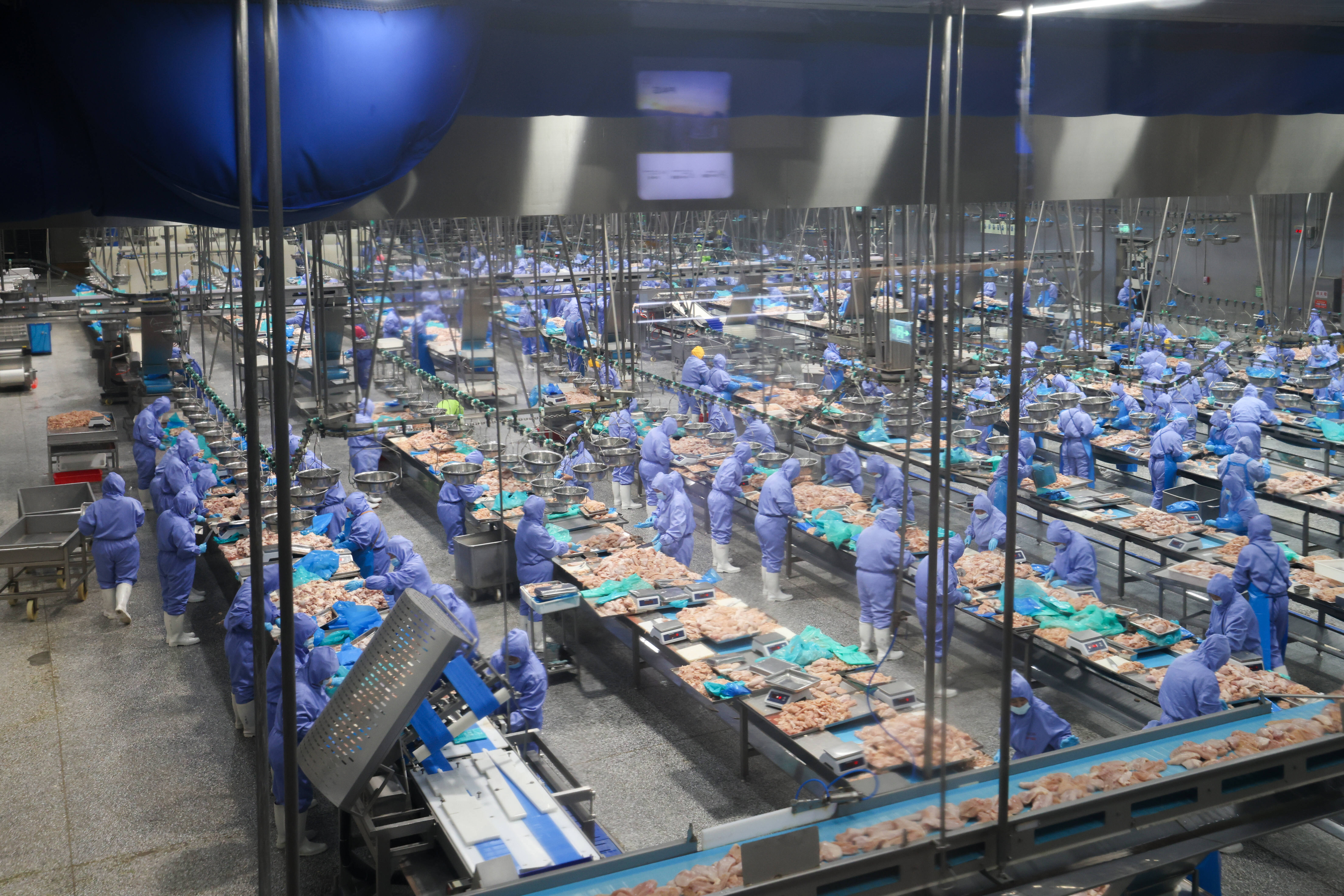 山东畜牧：向“新”向“智”绿”(图3)