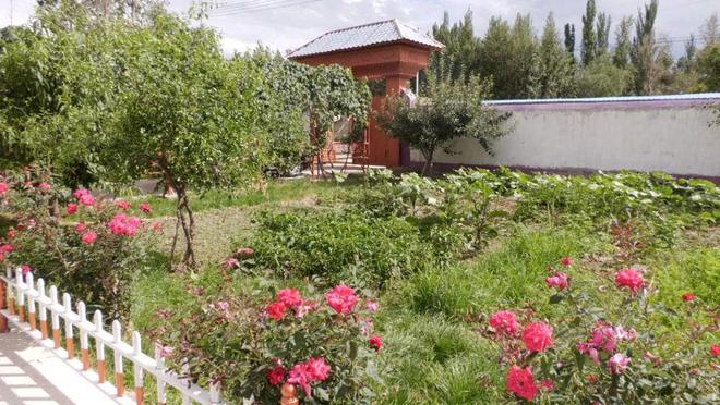 庆祝伊犁哈萨克自治州成立70周年丨从落后到进步阿凯发国际克塔木村的巨变之路(图5)