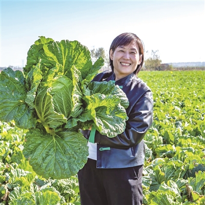 ag凯发青岛农品：汇聚打造品牌城市的“三农”力量(图2)