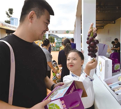 ag凯发青岛农品：汇聚打造品牌城市的“三农”力量(图6)