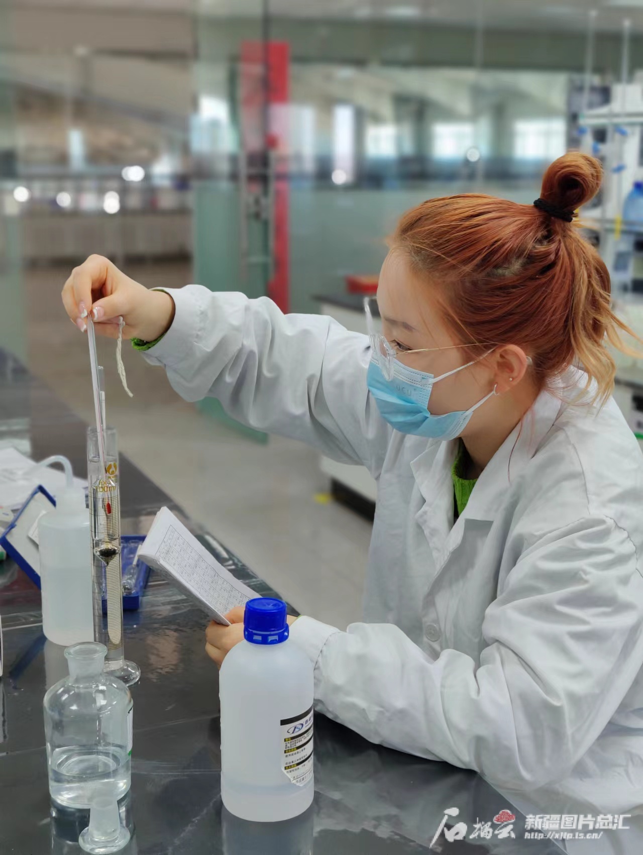 高质量发展调研行·走进昌吉｜畜牧产业园里奶牛过上“智慧生活”(图4)