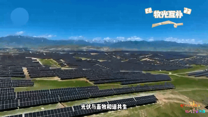 凯发国际我们的潮生活现代“话”新疆丨种太阳又种草！高科技“加持”下的沙漠变了样(图3)