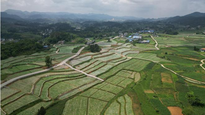 遵义：“三化”提高农业机械化水平