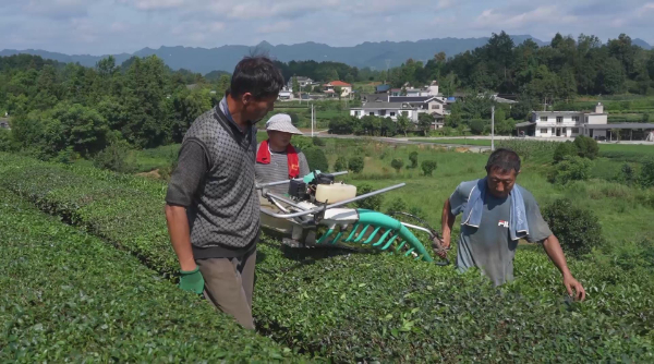 遵义：“三化”提高农业机械化水平(图2)