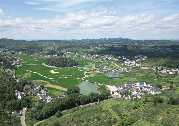 遵义：“三化”提高农业机械化水平(图3)