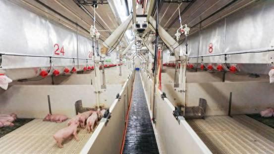 牧原股份荣获“2024年度河南省数字领航企业”